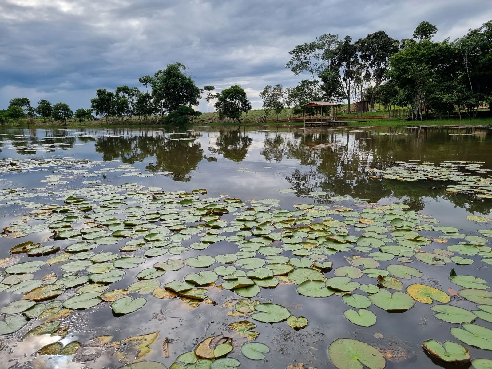 Festival de Pesca — Lagoa da Garça em Juína (foto 4)