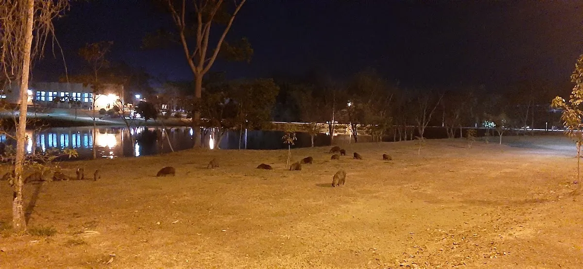 Festival de Pesca — Lagoa da Garça em Juína (foto 5)